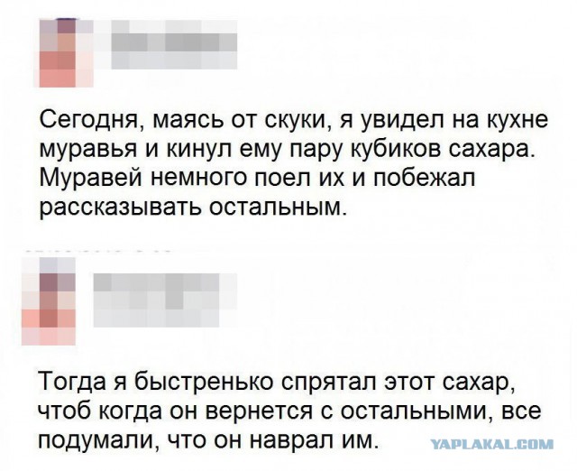 20 Смешных пикч