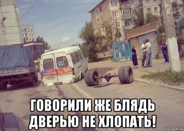 Подборка безудержного веселья