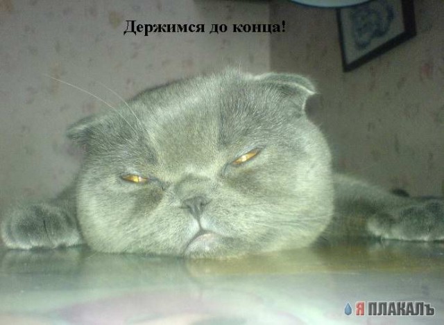 Работа в субботу
