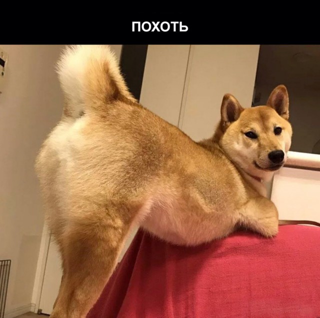Картинки разные