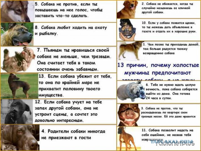 Мне позвонила девушка моего мужа