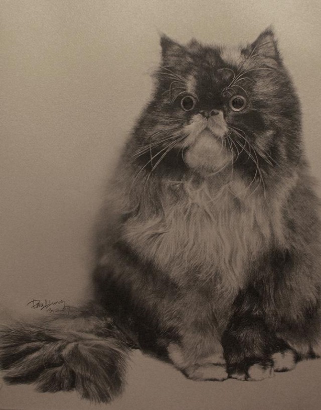 Рисованные коты