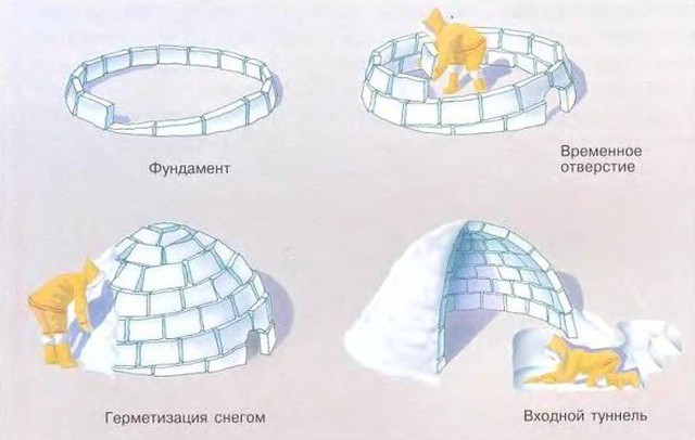 Как эскимосы строят иглу