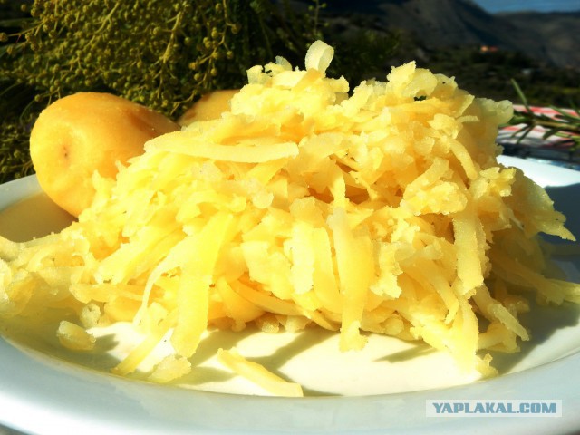 Селедка под шубой - 2019