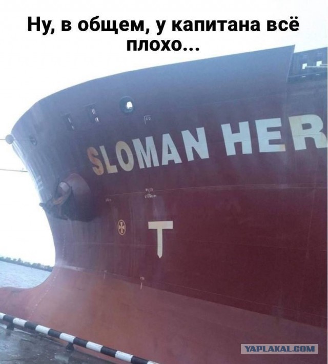 Подборка интересных и веселых картинок 05.03.19