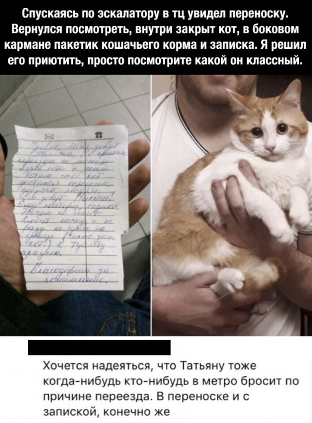 Немного картинок для настроения 31.10.19