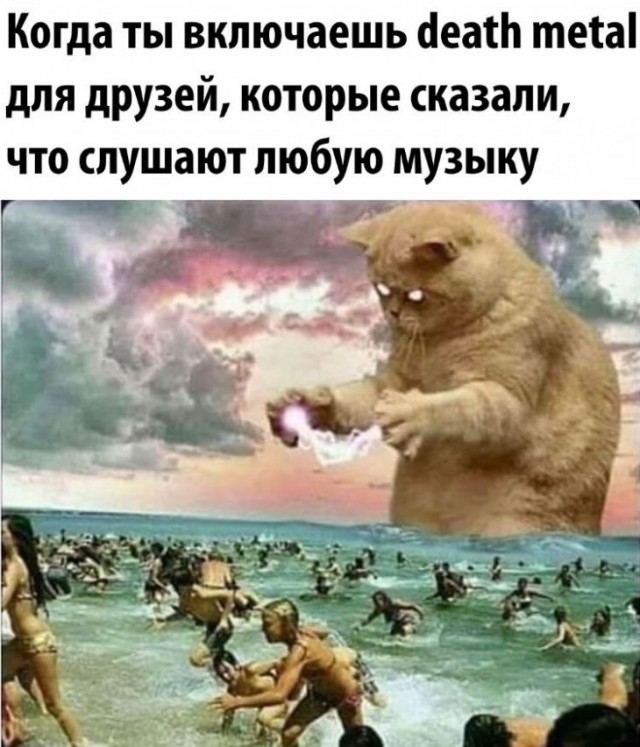 Немного картинок для настроения 22.11.19