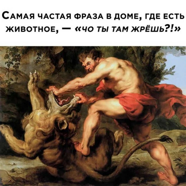 Картинки и мемы для настроения 011