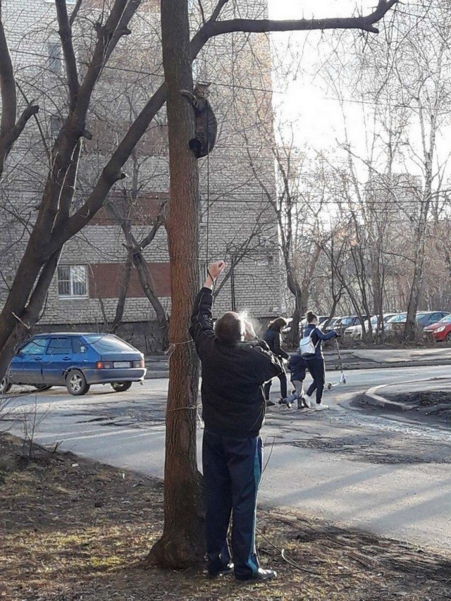 А лягушат не хотите ли?