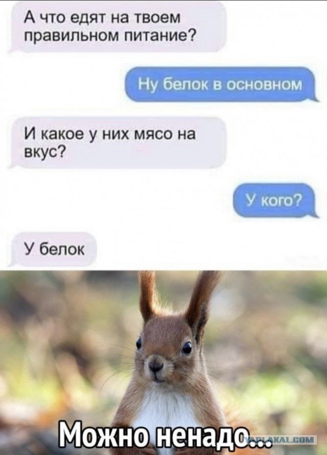 Скоро женщины будут добиваться мужчин