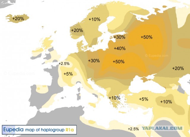Украинец стал русским