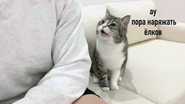 Один шаг и она начнется