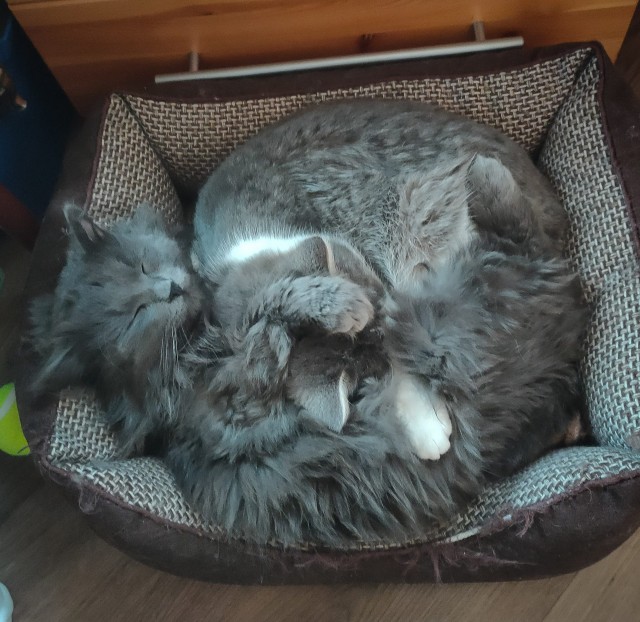 Котовторниковское