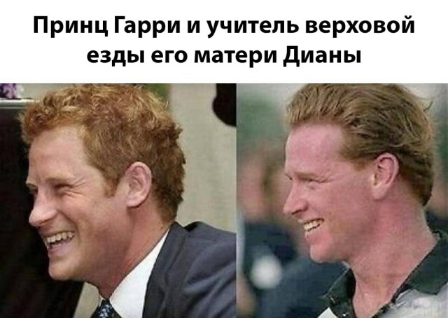 Просто картинки 20шт