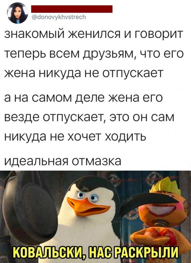 Так себе картинки 23.06.22