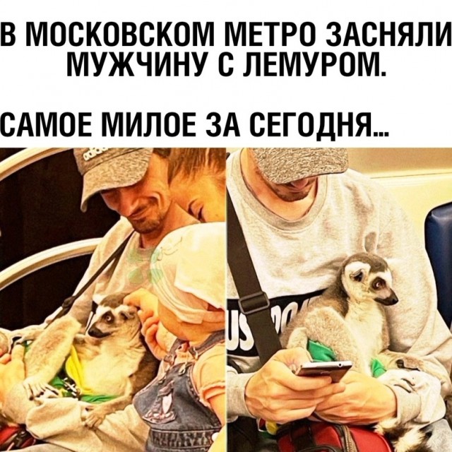 Картинки и мемы для настроения - 23