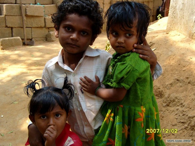 Индия 2007 - 2008 г.