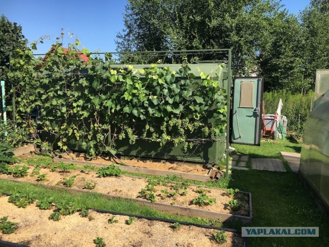 Освоение участка. Микробытовка за макроденьги