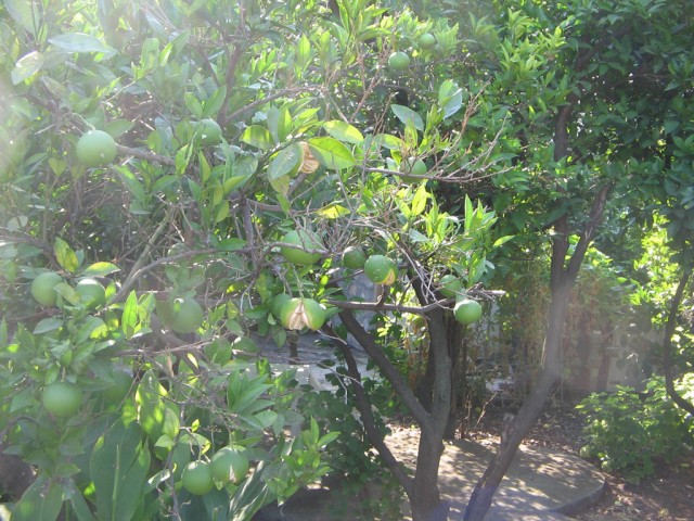 Отдых в Черногории (сентябрь 2012)