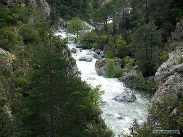 Франция. Корсика.