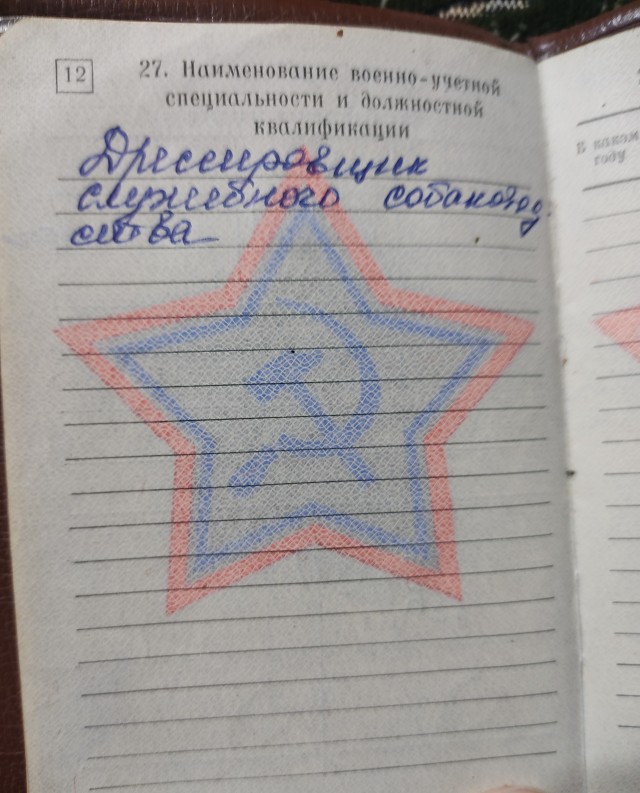 Восточноевропейская овчарка: Их противостояние с немецкими овчарками длится вот уже 50 лет!
