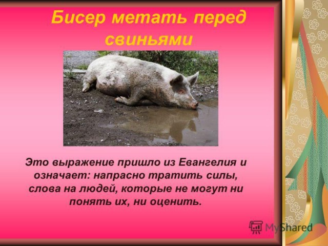 Шойгу: спецоперация и мобилизация касаются всех