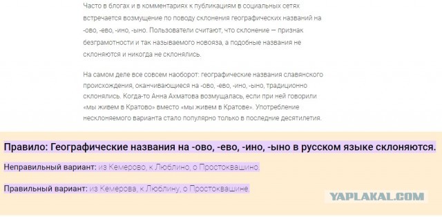 Светит уголовное: в Ярославле нашли вандалов, разгромивших подъезд. Одному из них нет и 18 лет