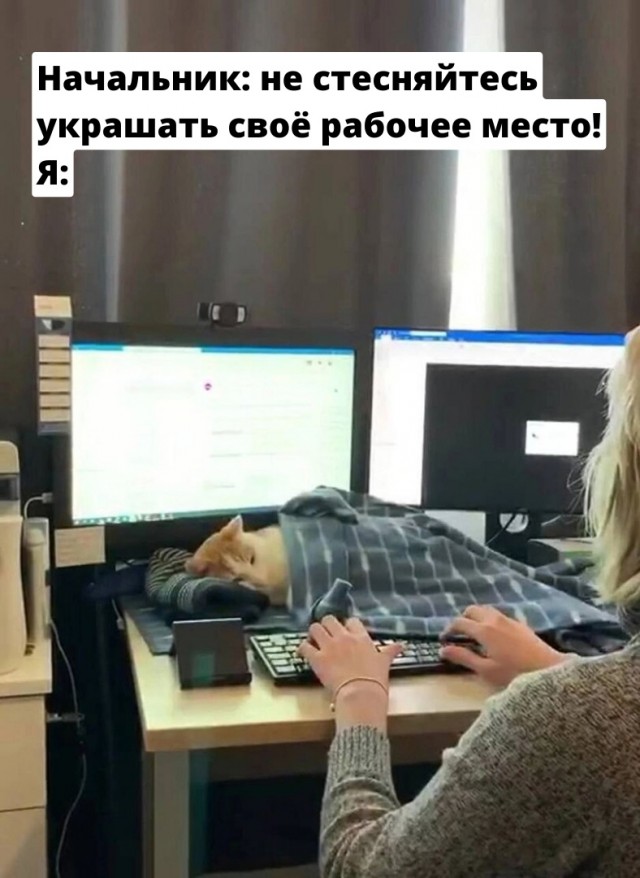 Так себе картинки 26.02.23
