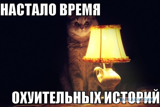 Потерпевших в ДТП под Ульяновском избили и сожгли?