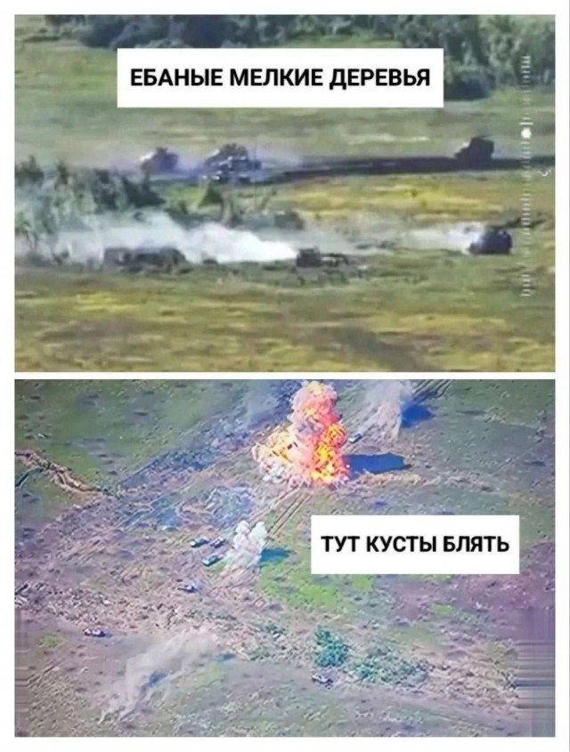 Проклятый куст снова сорвал наступление.