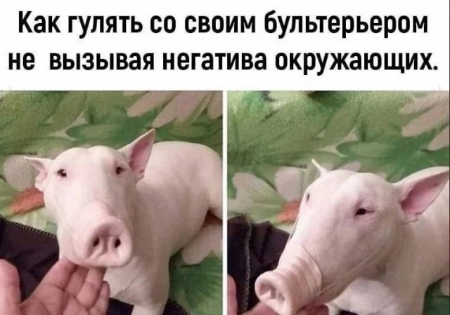 Маскировка