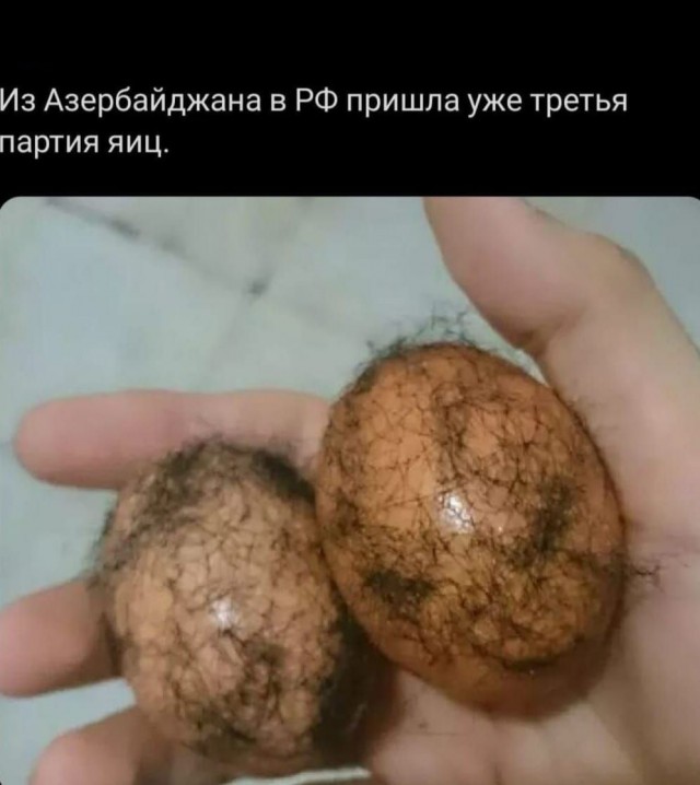 Так себе картинки 31.12.23