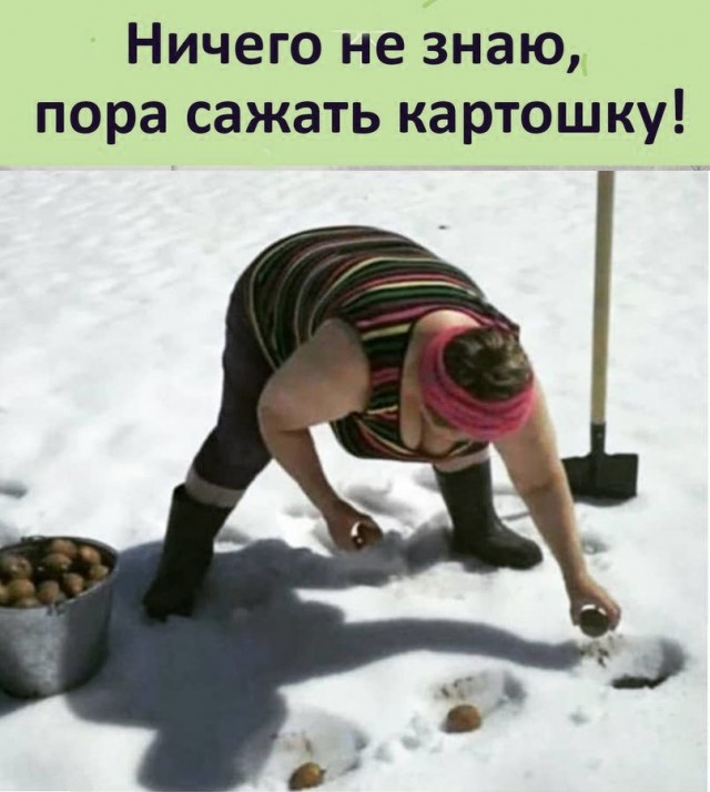 Так себе картинки 08.05.24