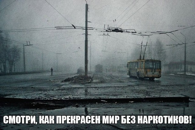 Кто такие американцы на самом деле