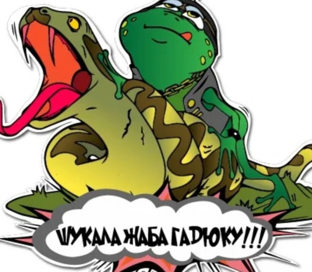 Депутат Милонов пришёл в бордель