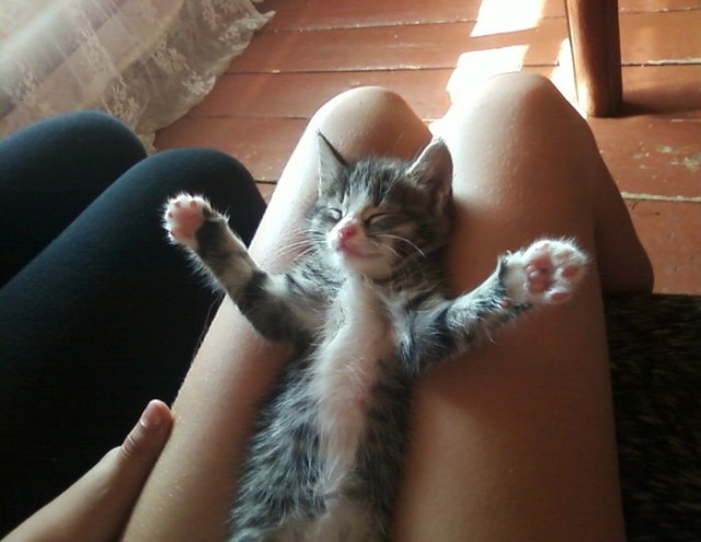 Счастье есть!