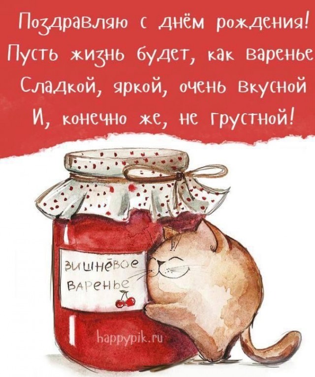 Жизнь домашнего приюта для котеек 532