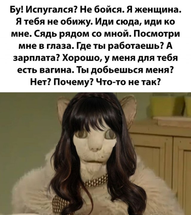 Веселые картинки в пятницу (16.02)