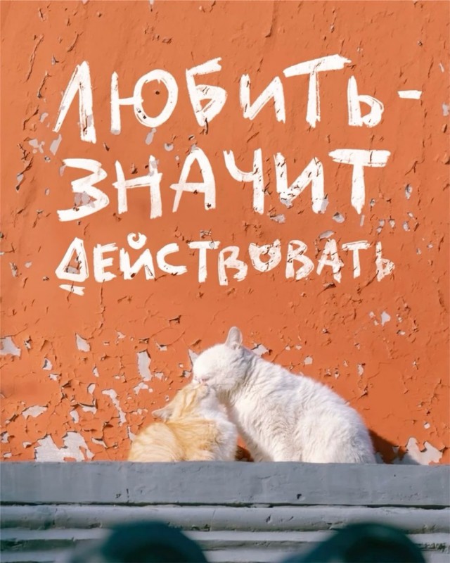 Прикольные и просто красивые картинки