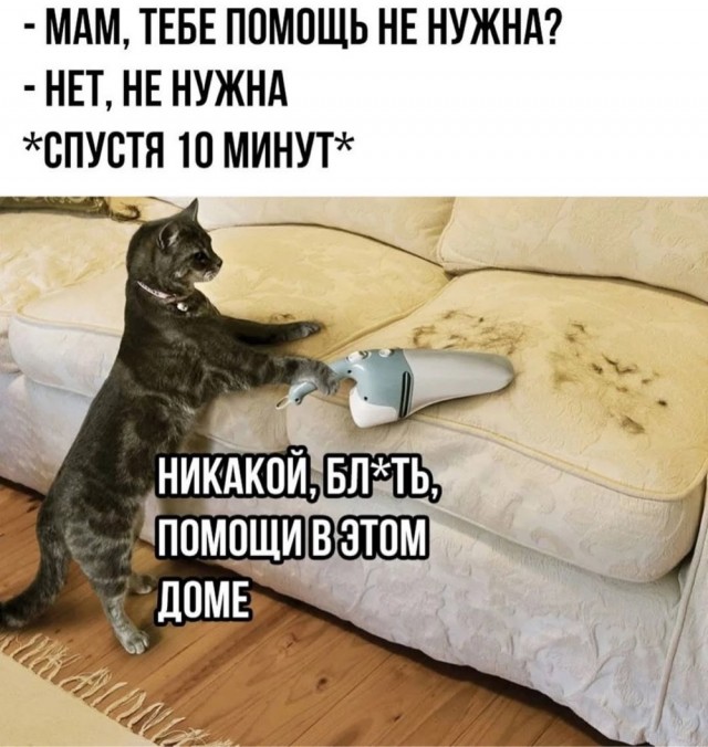 Деградация
