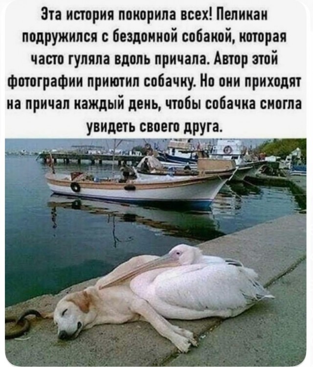 Так себе картинки 28.07.25
