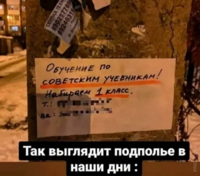 «Политикам нужны бездари, ими легче управлять»: математик — о «жертвах ЕГЭ» и мрачном будущем образования