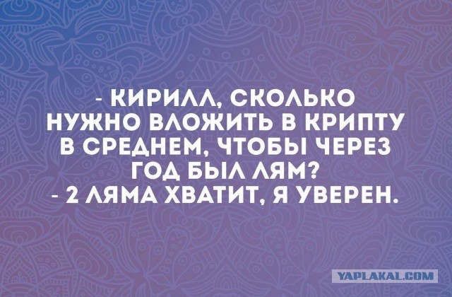 Так себе картинки 29.12.25
