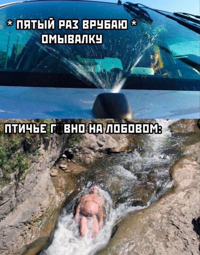 Картинки для деградации 130 (разной степени свежести)