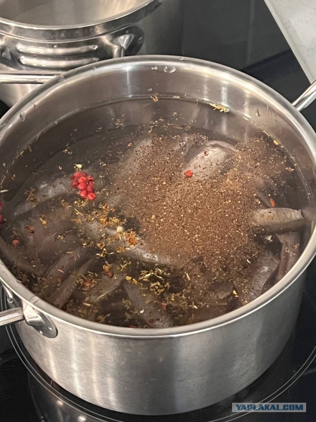 Сом припущённый в огуречном рассоле