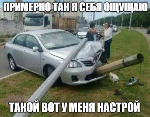Субботние картинки