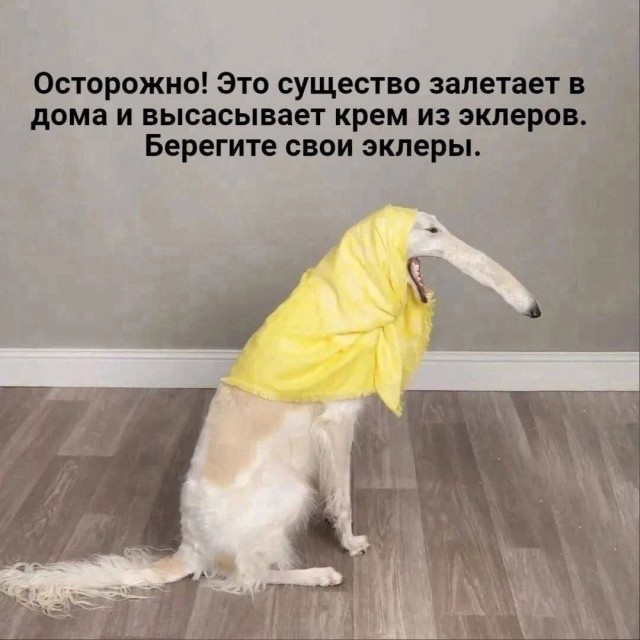 Картинки для деградации 160 (разной степени свежести)