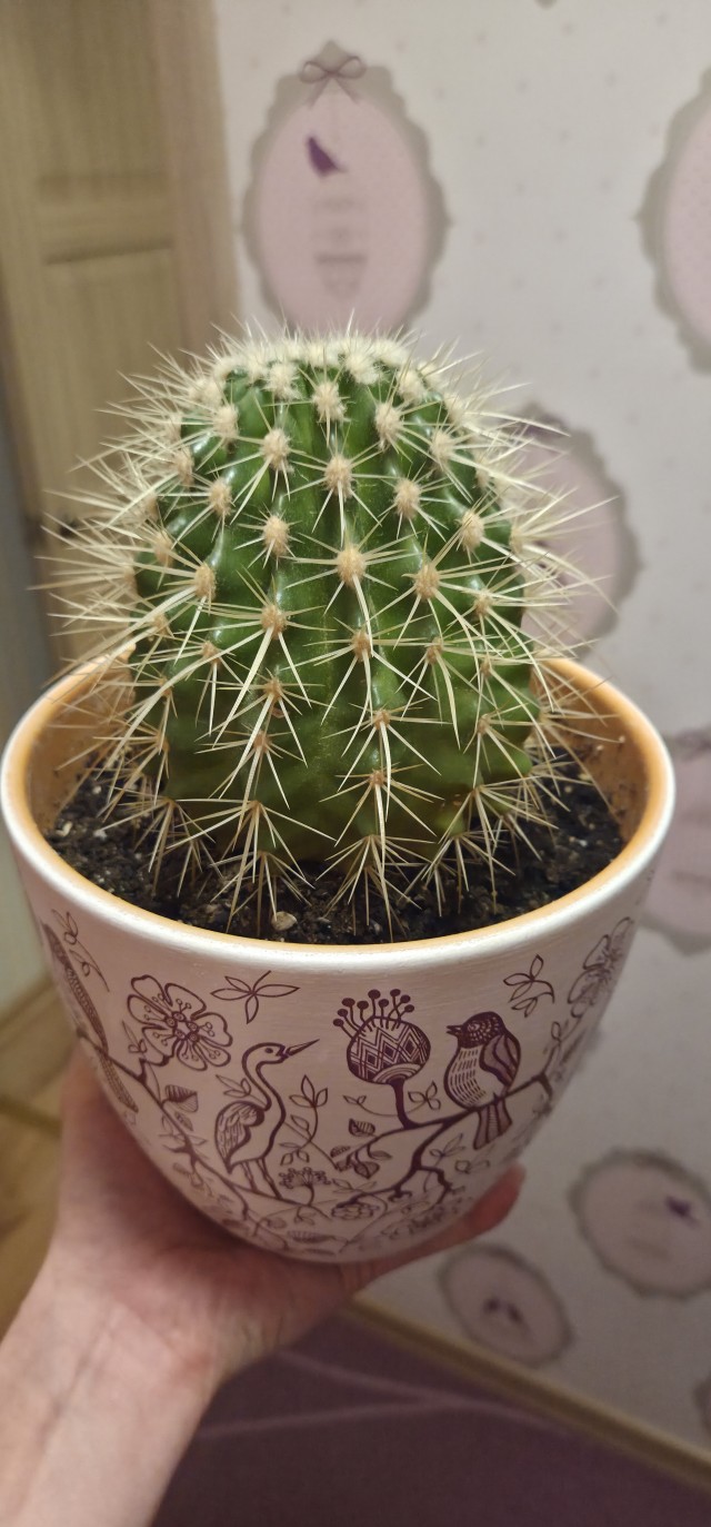 Поздравляю всех причастных с праздником!