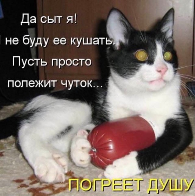 Картинки для улыбки