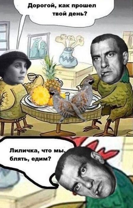 Картинки для деградации 295 (разной степени свежести)